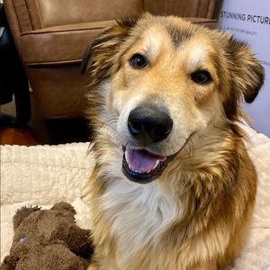 Meet your Posher, Matt